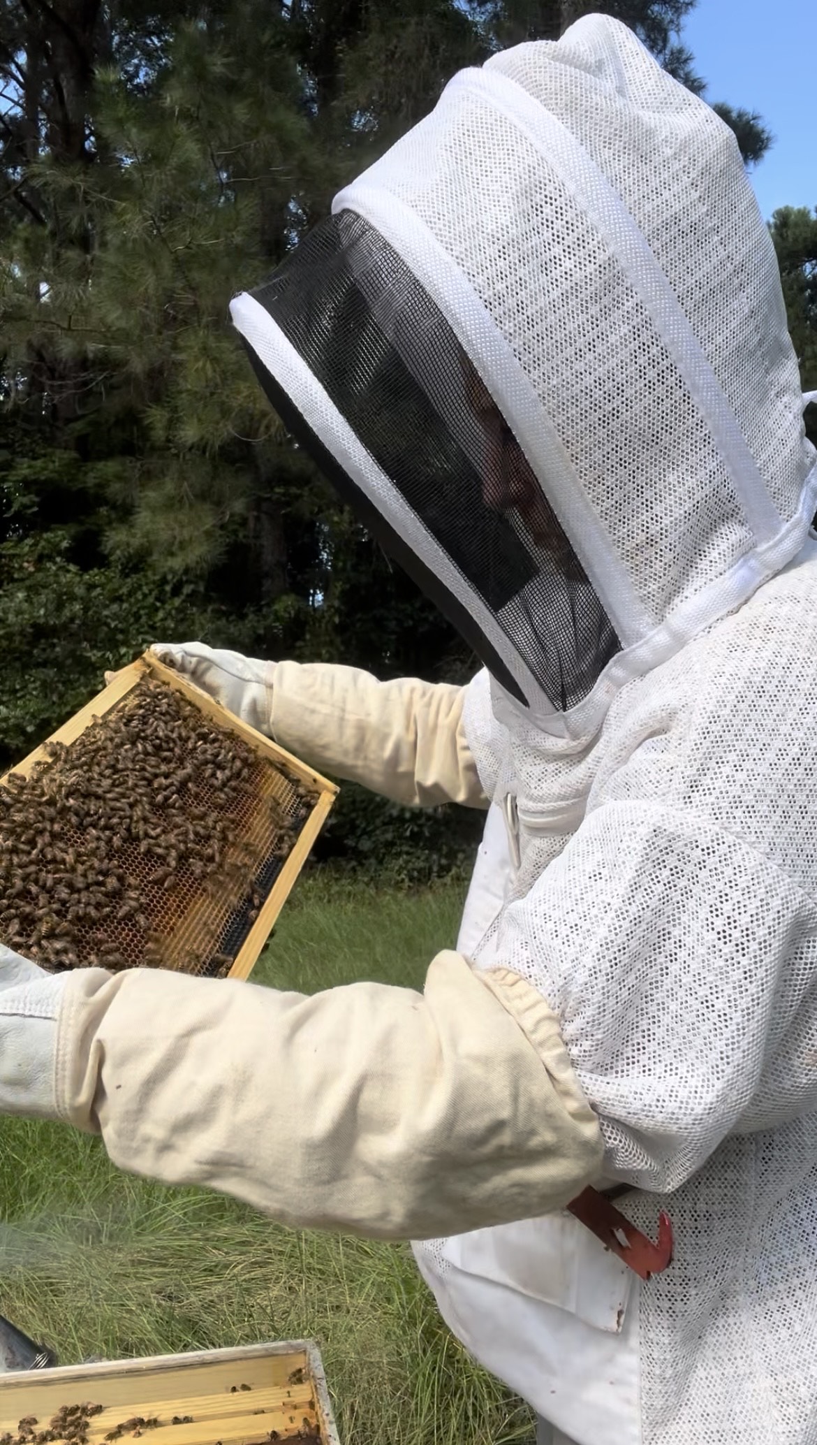 Meet the Bees: September Update